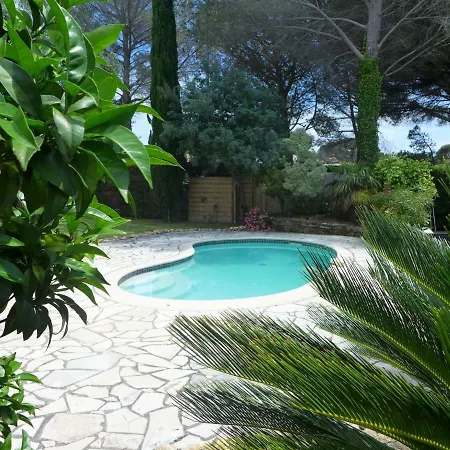 Les Hibiscus